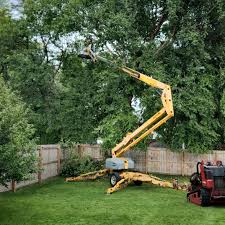Best Lawn Watering Services  in Carlisle, PA