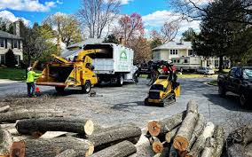 Best Lawn Renovation and Restoration  in Carlisle, PA