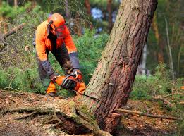 Best Lawn Pest Prevention  in Carlisle, PA