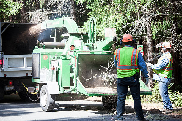 Best Stump Grinding and Removal  in Carlisle, PA